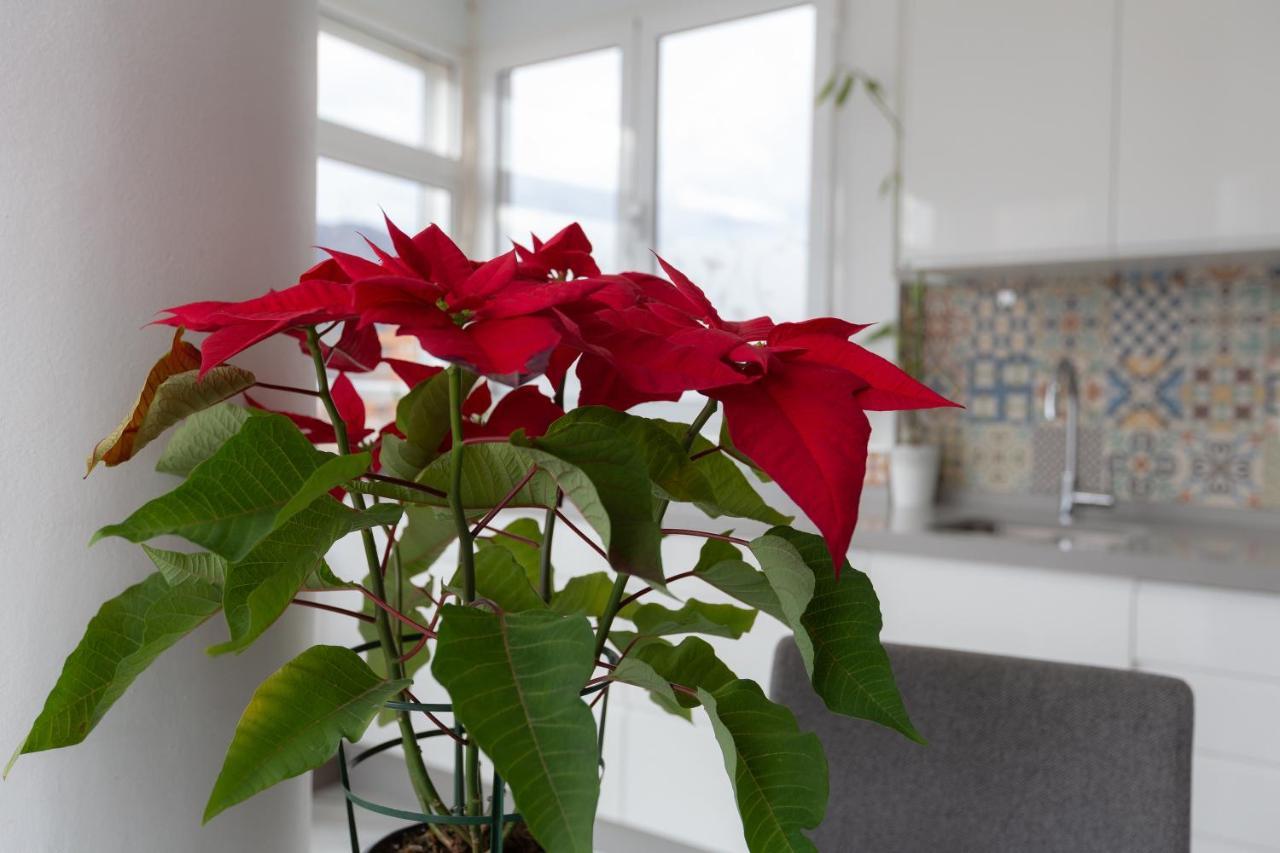 Appartement Apt Playa Y Montana à Torremolinos Extérieur photo